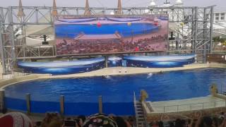 Delfinariu Rixos Land of Legends 5*