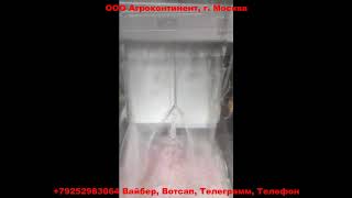 Линия обработки кишок, черевы, свиней