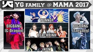 [NEWS] MAMA 2017 with BIGBANG, BLACKPINK, WINNER & iKON ʕ•ᴥ•ʔ YGigabytes No.1 #YG