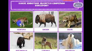 ОТВЕТЫ игра "В мире животных-2" 21, 22, 23, 24, 25, 26, 27, 28, 29, 30 уровень. одноклассники.