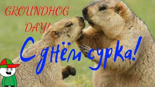 С днем сурка!\\Groundhog Day!