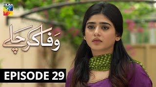 Wafa Kar Chalay Episode 29 HUM TV Drama 3 February 2020