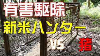 箱罠組み立てと農業被害