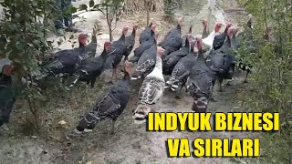 INDYUK BOQISH SIRLARI TALABLARGA BINOAN