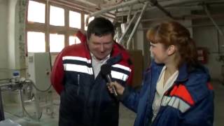 Как правильно выбрать муку?