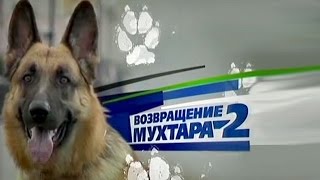 Возвращение Мухтара. Таинственный незнакомец | 31.08.2016