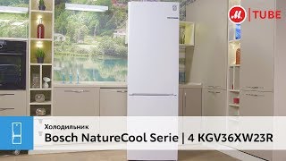Обзор холодильника Bosch NatureCool Serie | 4 KGV36XW23R