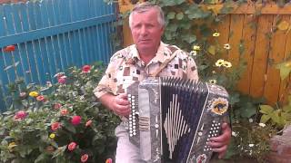 Миллион алых роз - (гармонь)
