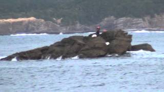 日置　三倉渡船（ワニ島）のご案内