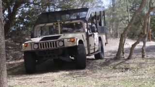 See the Outer Banks Wild Horses with Wild Horse Adventure Tours