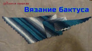 Вязание бактуса. Как связать бактус спицами.