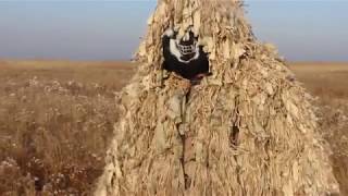 леший на прогулке