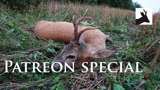 Malform roebuck during thunderstorm uncensored - Patreon special - 4k