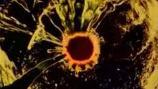 The Strokes-Machu picchu (music video)