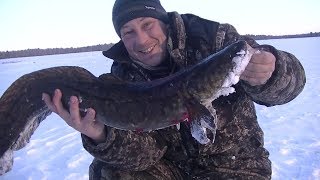 Здесь ловятся самые крупные Щуки и Налимы! Зимняя рыбалка с ночёвкой.