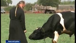 Божий промысел. В Ряжском районе священник будет строить сыроварню