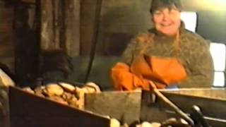 ОБРАБОТКА ГРЕБЕШКА. С-К БСФ. Автор В. Шаликин