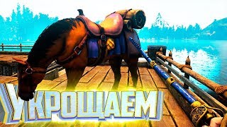 ПРИРУЧАЕМ МАГИЕЙ - CITADEL Forged Fith Fire #2