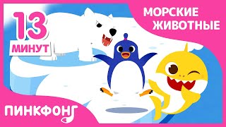 АКУЛА и другие песни | +Сборник | Песни про Морские Животные | Пинкфонг Песни для Детей