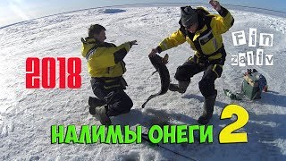 Зимняя рыбалка на Онежском озере | Налимы часть 2