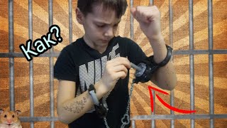 Как выбраться из наручников за 2 минуты? Ответ тут или выберемся из наручников в игре