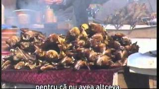 Pe urmele lui Cehov / 1