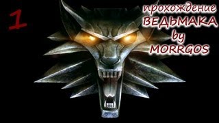 Ведьмак #1. Начало. Каэр Морхен