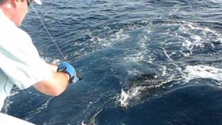 Deep Sea Roundup Port Aransas