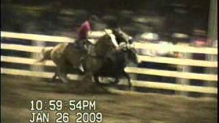 O MELHOR CAVALO DE ESTEIRA DO BRASIL