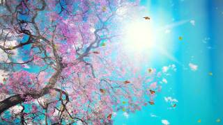 Fantastic Nature Screensaver http://www.screensavergift.com