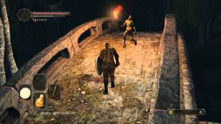 Прохождение Dark Souls 2 Без прокачки (PC) #7 Гниющий и жопа