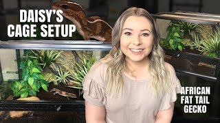 SETTING UP MY AFRICAN FAT-TAILED GECKOS CAGE! (Step By Step!)