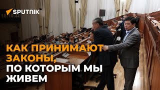 "Что случилось, братишка?" — как депутаты принимают важные законы