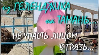 ГЕЛЕНДЖИК - ТАМАНЬ... Экскурсия на Азовское море, пляж Посейдон и ЛОТОСЫ!!!!!......