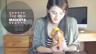 Tag de la Mascota | Mi Cobaya Tommy!