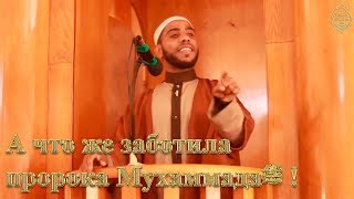 А что же заботила пророка Мухаммадаﷺ ! [НОВИНКА]