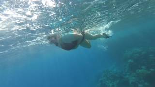 Любаша плывет Шарм-эль-Шейх май 2017