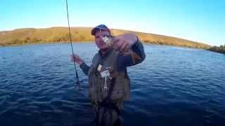 Ловля на микроколебалки SV-FISHING, р. Сосна, 23.05.2015г.