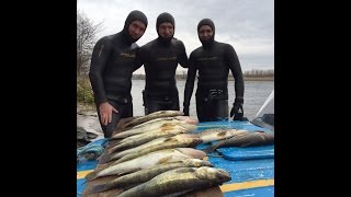 Осенняя подводная охота на Волге