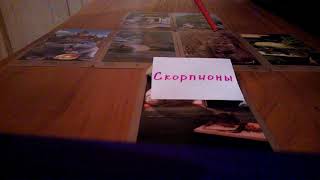 Таро прогноз на Декабрь 2017 г. для Скорпионов