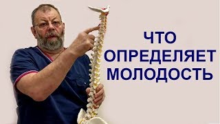 Механизм развития остеохондроза пояснично - крестцового отдела. Чем определяется молодость