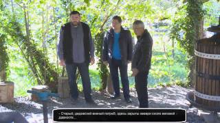 Производство вина из виноградного сорта Оцханури Сапере - Грузия