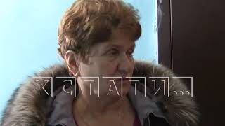 Жестокая дрессировка - в Автозаводском районе жительница выбросила 7 котят из окна