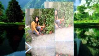 Nhớ Về Hải Dương - Hồng Liên