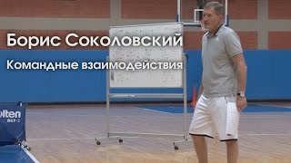Борис Соколовский / Командные взаимодействия
