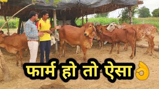 नोकरी नहीं देसी गाय पालन शुरु कर बनाई अलग पहचान?Popular Sahiwal Desi cow Dairy farm in india