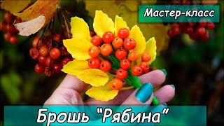 Брошь "Рябина" из полимерной глины своими руками  ❤ Мастер-класс ❤ Polymer clay tutorial
