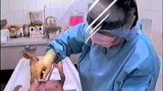 The Embalming Process