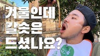 겨울에 바르셀로나 여행 간다면 칼솟 한번 드셔보세요 (feat. 발스 칼솟축제)