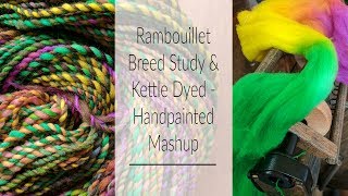 Rambouillet Breed Study & Monet Effect Dyeing